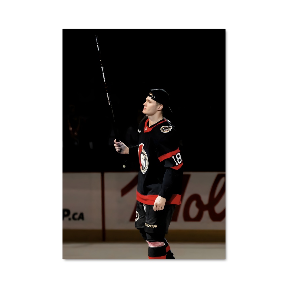 Poster Ottawa senators